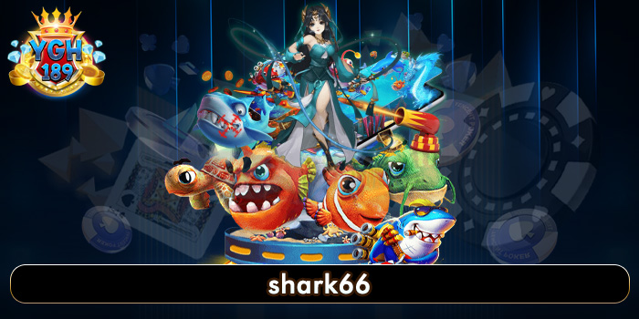shark66